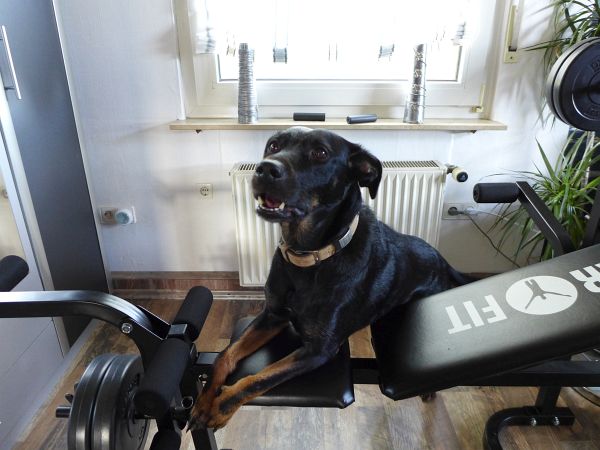 Klarfit Hantelbank