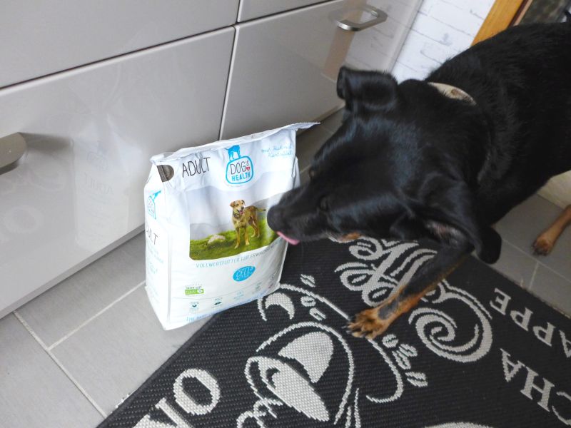 Dogs Health
