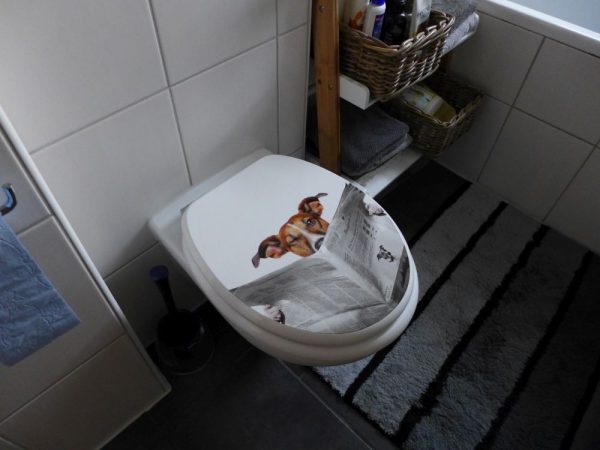 Calmwaters Toilettensitz