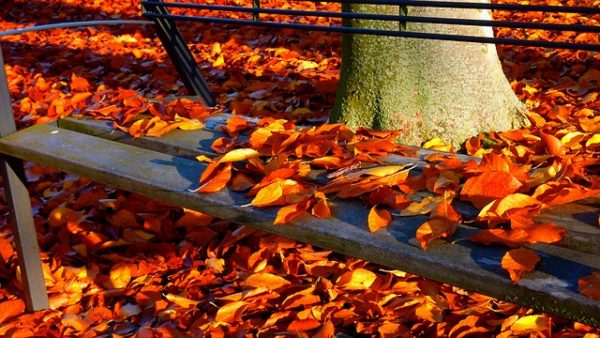 Herbststimmung