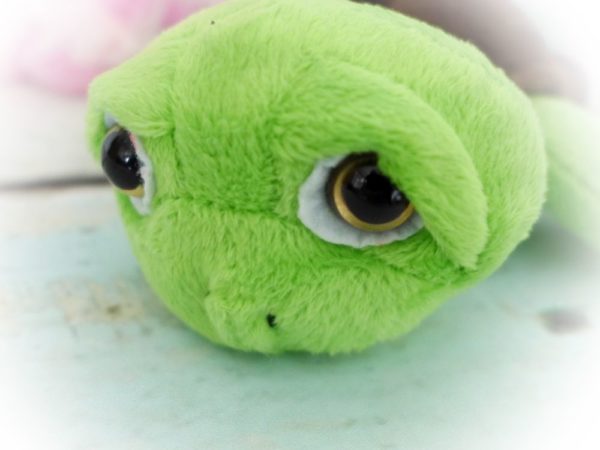 Schildkröte Sally