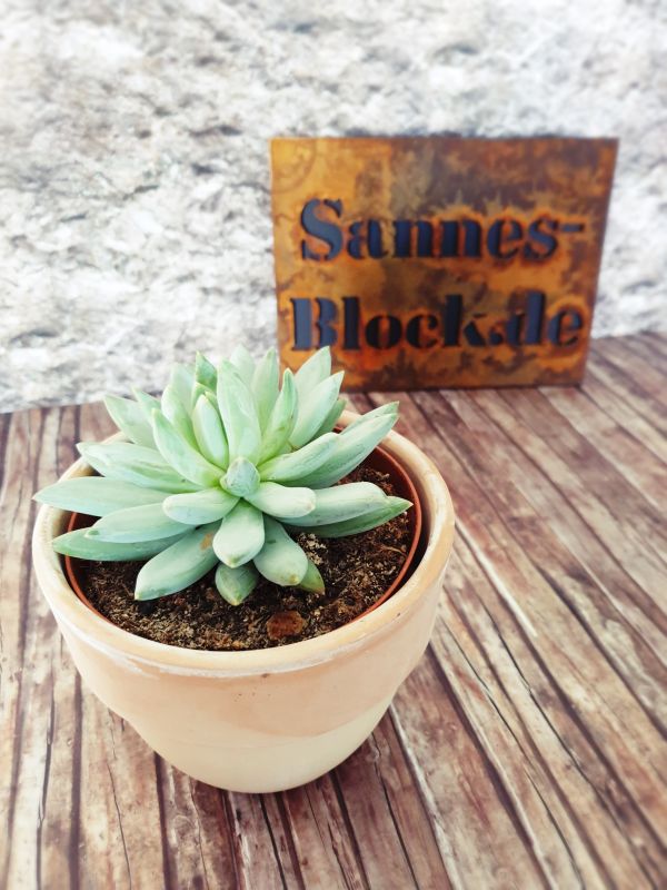 Blogschild Namen und mehr