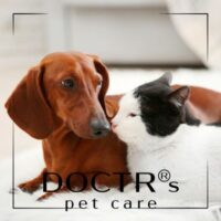 Doctr-Care